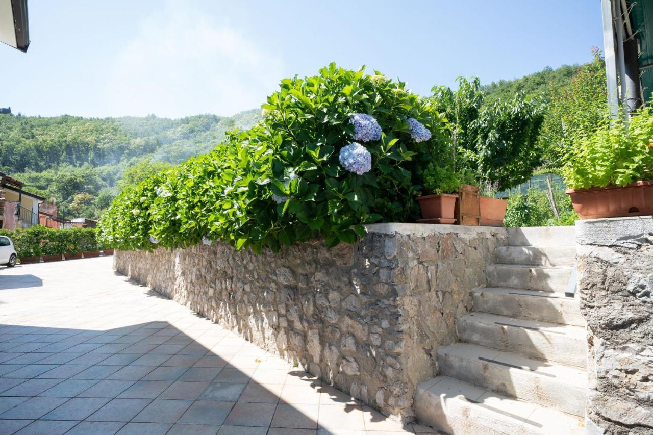Apicella Casa Vacanze Tramonti Exterior photo