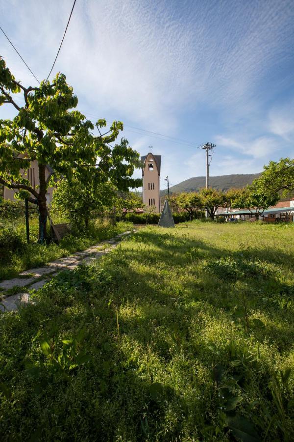 Apicella Casa Vacanze Tramonti Exterior photo